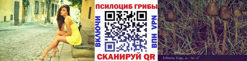 Псилоцибиновые грибы мухоморы  купить наркотик  Южноуральск 
